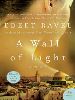 cover image of A Wall of Light